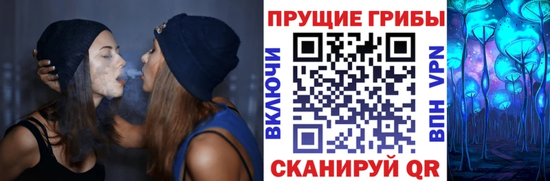 Галлюциногенные грибы Psilocybine cubensis Муром